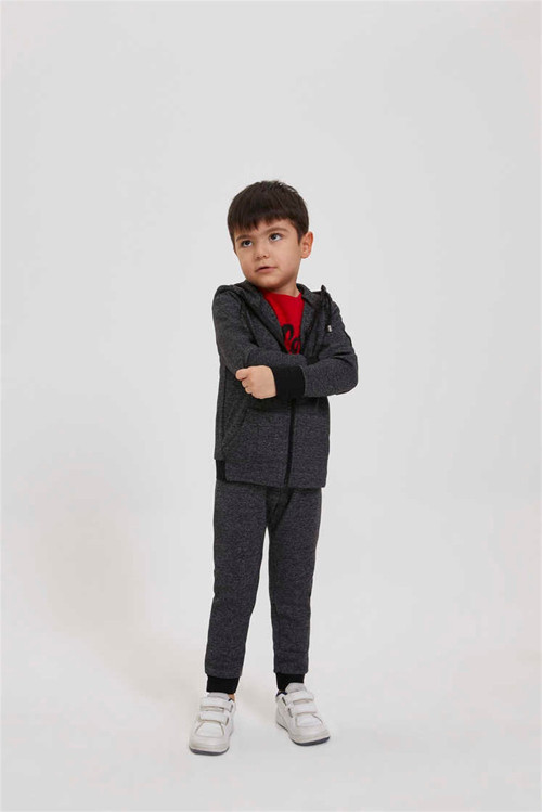 Echo Erkek Çocuk Kapüşonlu Sweatshirt Antrasit