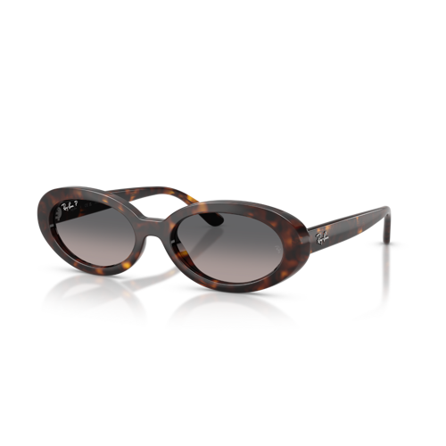 RB 2223 902/M3 54 Polarize Güneş Gözlüğü