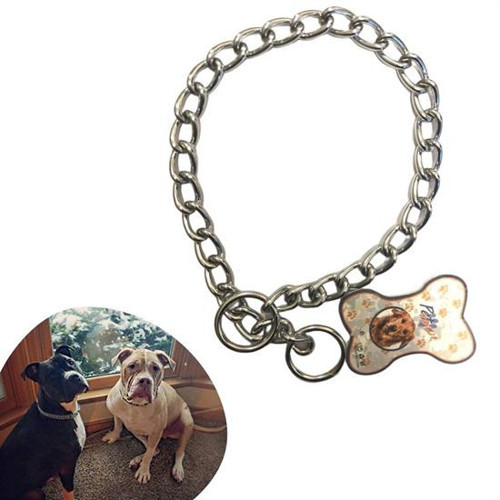 65 cm Uzunlukta Zincir Model Köpek İçin Boyun Tasması (4887)