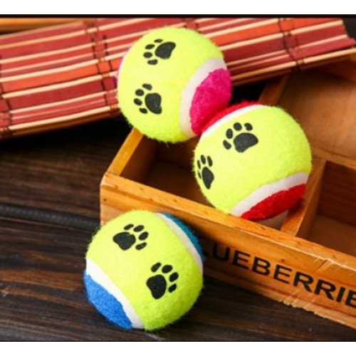 At Getir Köpek Eğitim Topu (4887)