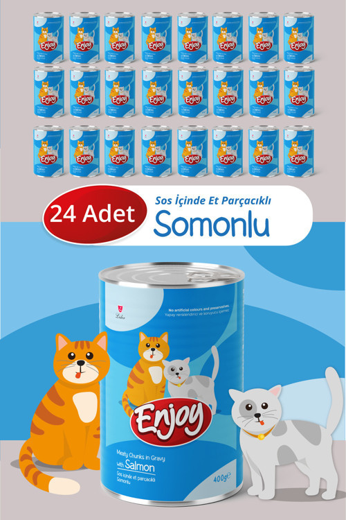 Somonlu Kedi Konservesi Sos İçinde Et Parçacıklı 400 Gr x24