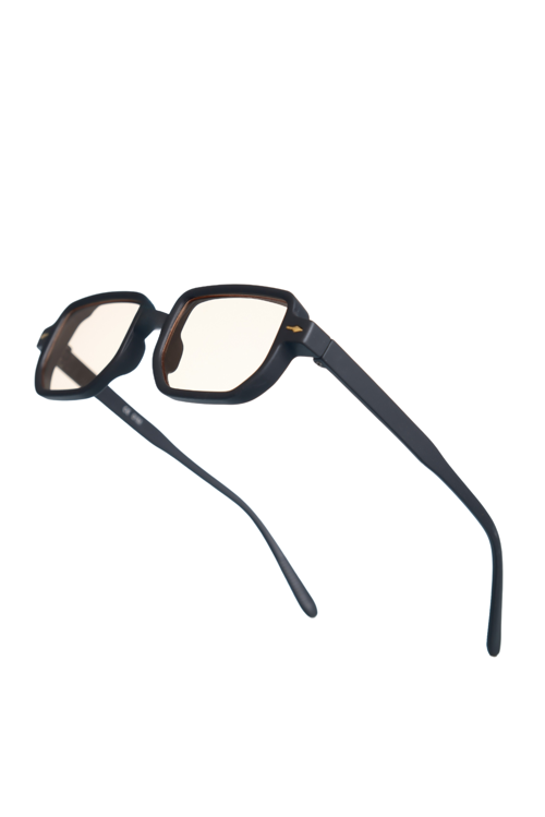 Royal Eyewear Re1022 Mat Siyah Güneş Gözlüğü