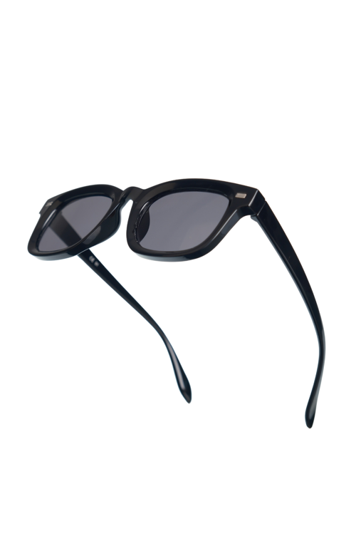 Royal Eyewear Re2303 Siyah Güneş Gözlüğü