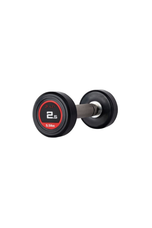 313 Sport 2,5 KG Kauçuk Kaplı Profesyonel Olimpik DUMBBELL ( Dambıl )