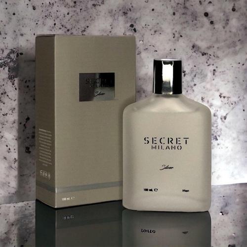 SİLVER 100 ML ERKEK PARFÜMÜ