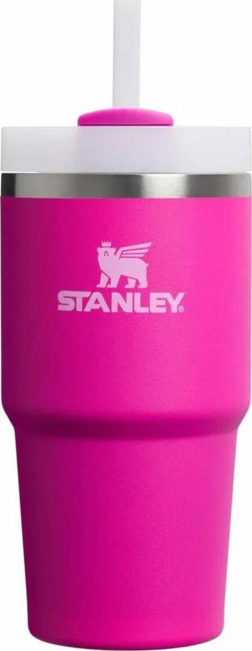 Quencher H2.O Flowstate™ Tumbler Pipetli Termos Bardak 0.60 Lt Pembe 10-10826-362