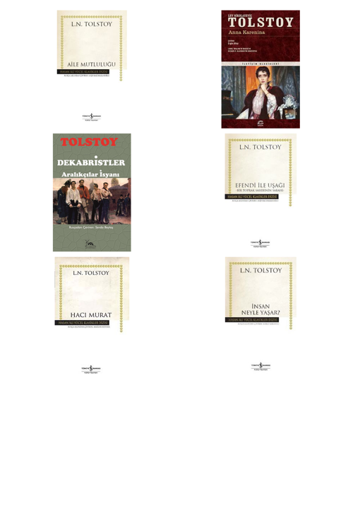 Lev N. Tolstoy Aile Mutluluğu (Karton Kapak) +5 Adet Kitap Set
