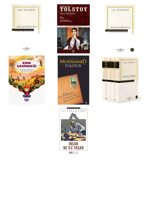 Lev N. Tolstoy Aile Mutluluğu (Karton Kapak) +6 Adet Kitap Set