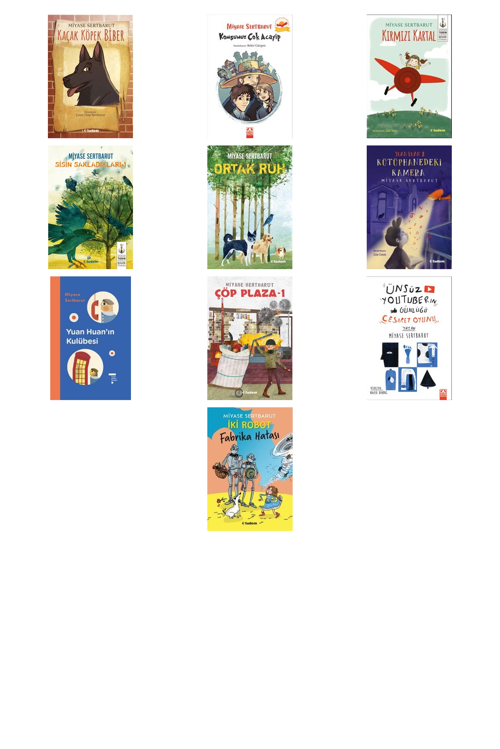 Miyase Sertbarut Kaçak Köpek Biber +9 Adet Kitap Set