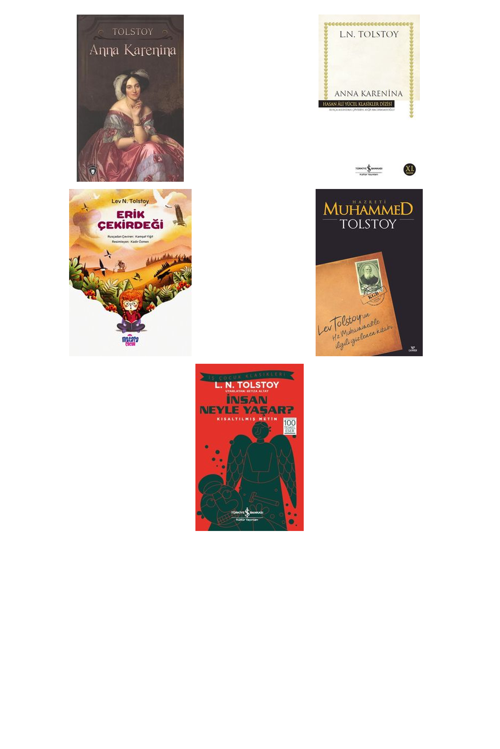 Lev N. Tolstoy Anna Karenina +4 Adet Kitap Set