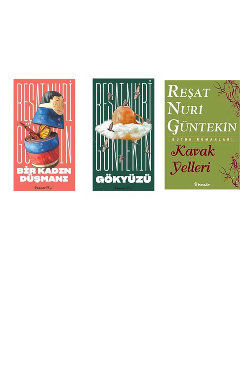 Reşat Nuri Güntekin Bir Kadın Düşmanı +2 Adet Kitap Set