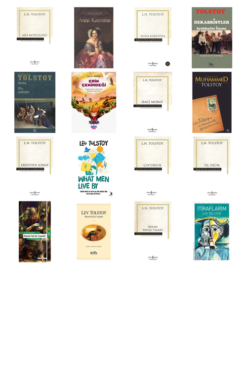 Lev N. Tolstoy Aile Mutluluğu (Karton Kapak) +15 Adet Kitap Set