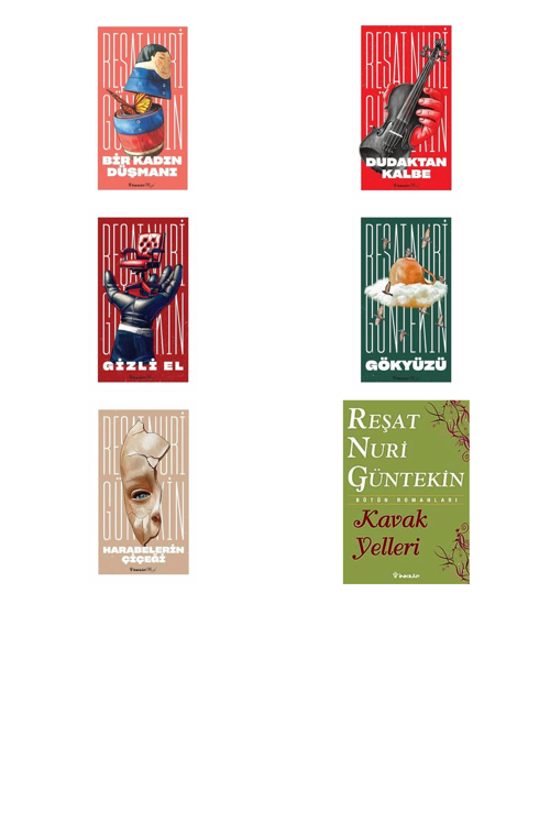 Reşat Nuri Güntekin Bir Kadın Düşmanı +5 Adet Kitap Set