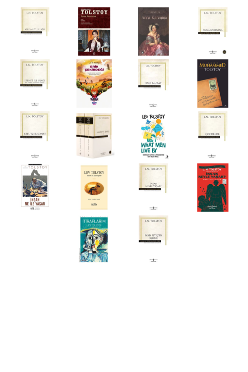 Lev N. Tolstoy Aile Mutluluğu (Karton Kapak) +17 Adet Kitap Set