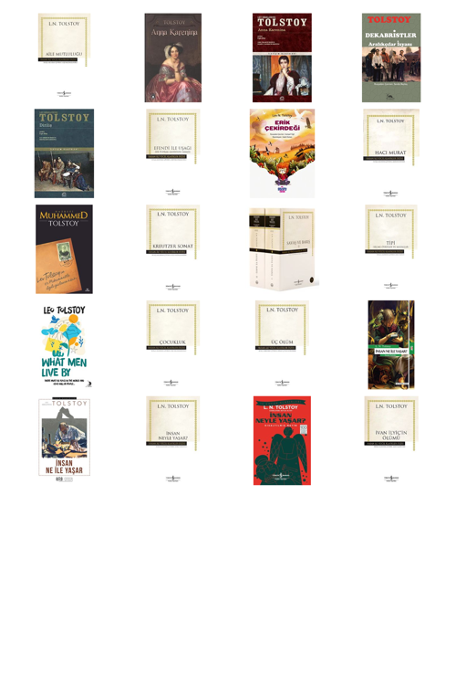 Lev N. Tolstoy Aile Mutluluğu (Karton Kapak) +19 Adet Kitap Set