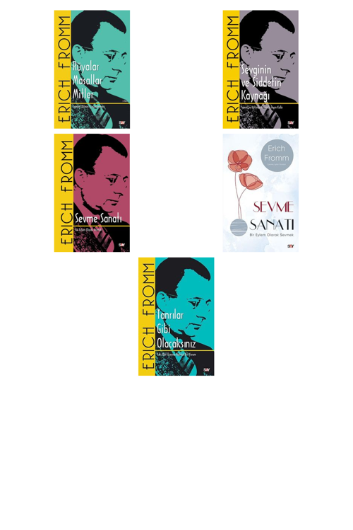 Erich Fromm Rüyalar Masallar Mitler & Sembol Dilinin +4 Adet Kitap Set