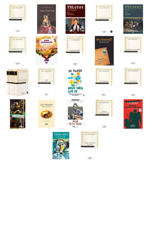 Lev N. Tolstoy Aile Mutluluğu (Karton Kapak) +21 Adet Kitap Set