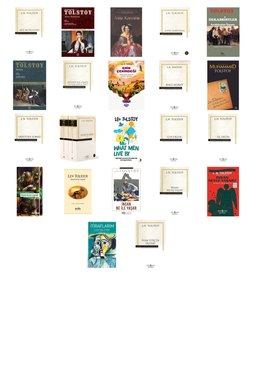 Lev N. Tolstoy Aile Mutluluğu (Karton Kapak) +21 Adet Kitap Set