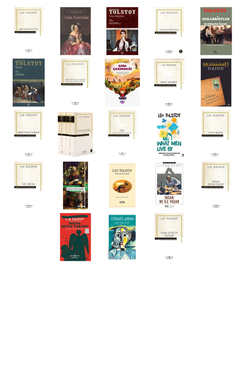 Lev N. Tolstoy Aile Mutluluğu (Karton Kapak) +22 Adet Kitap Set