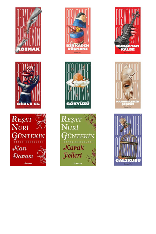 Reşat Nuri Güntekin Acımak +8 Adet Kitap Set