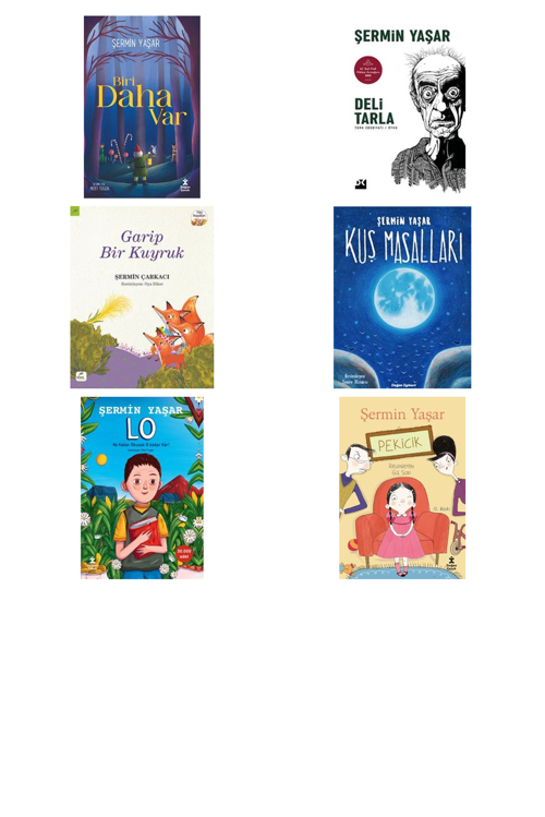 Şermin Yaşar Biri Daha Var (Karton Kapak) +5 Adet Kitap Set