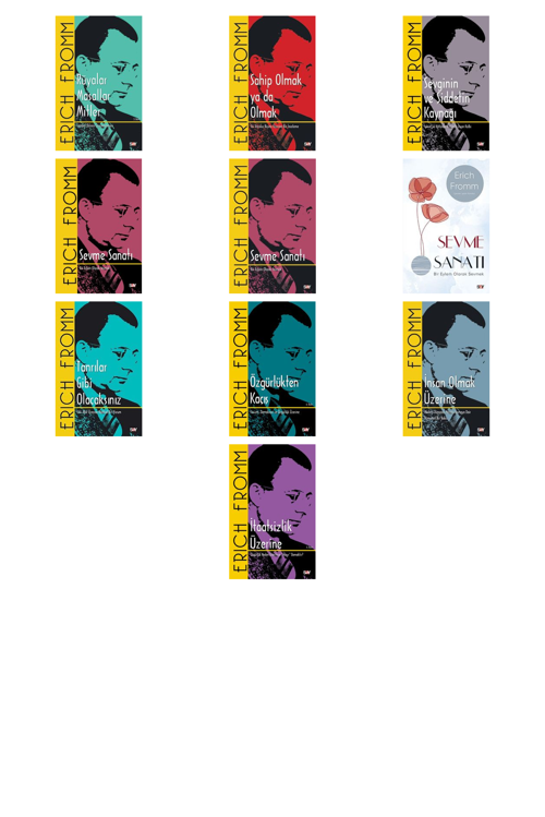 Erich Fromm Rüyalar Masallar Mitler & Sembol Dilinin +9 Adet Kitap Set