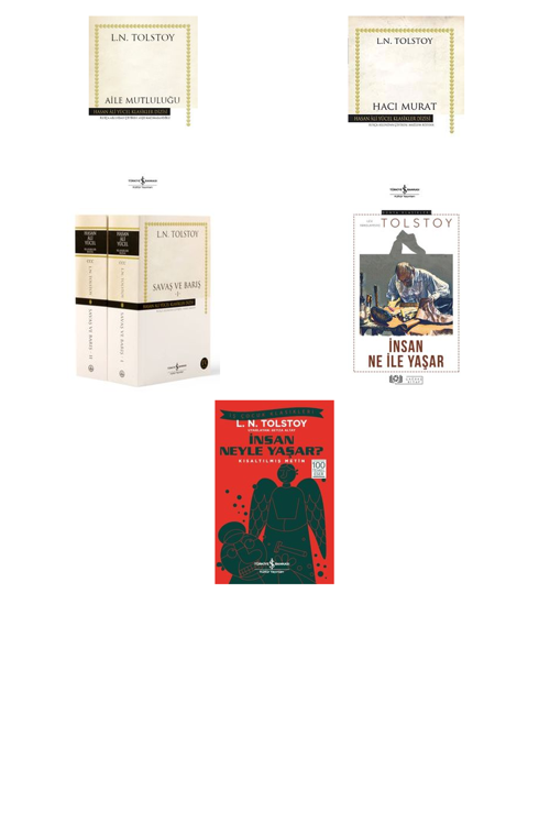 Lev N. Tolstoy Aile Mutluluğu (Karton Kapak) +4 Adet Kitap Set