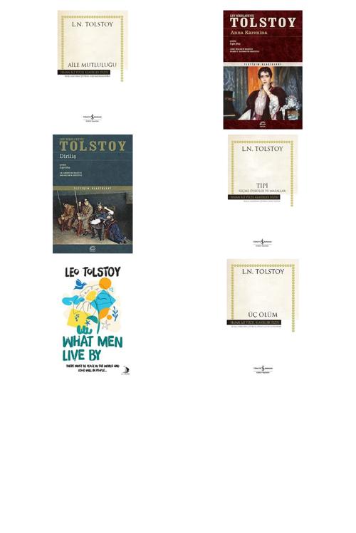 Lev N. Tolstoy Aile Mutluluğu (Karton Kapak) +5 Adet Kitap Set