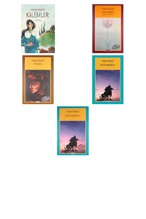 Yaşar Kemal Kalemler +4 Adet Kitap Set