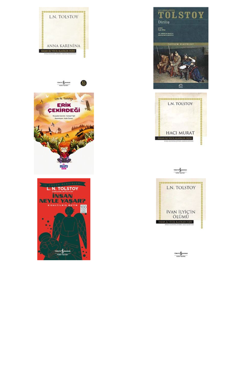 Lev N. Tolstoy Anna Karenina (Ciltsiz) +5 Adet Kitap Set