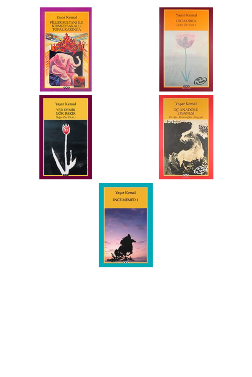 Yaşar Kemal Filler Sultanı ile Kırmızı Sakallı Topal +4 Adet Kitap Set
