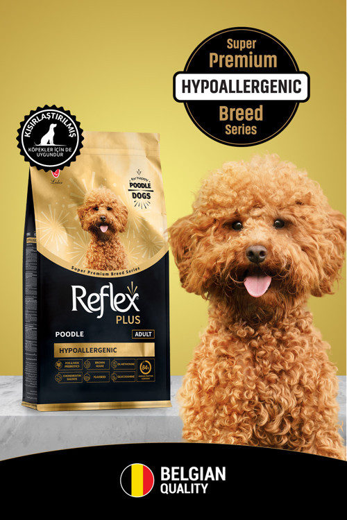 Plus Poodle Yavru Köpek Maması 1.5kg