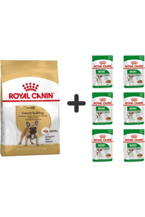 French Bulldog Yetişkin Köpek Maması 3 kg + 6 Adet Yaş Mama