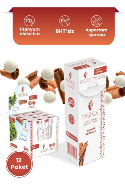 Tarçın Aromalı Sakız 20 gr x12 Adet