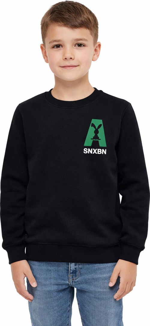 Erkek Çocuk Önü Baskılı Sweatshirt BGL-ST05234