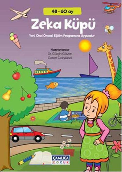 Zeka Küpü
