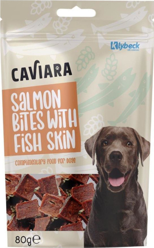 Balık Derisi ve Somonlu Köpek Ödülü 80 Gr