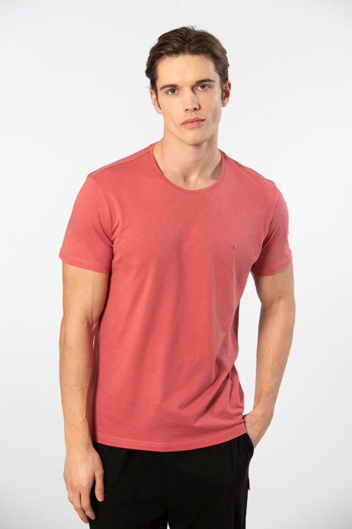 2169 Erkek Modal Pamuk Bisiklet Yaka T-Shirt