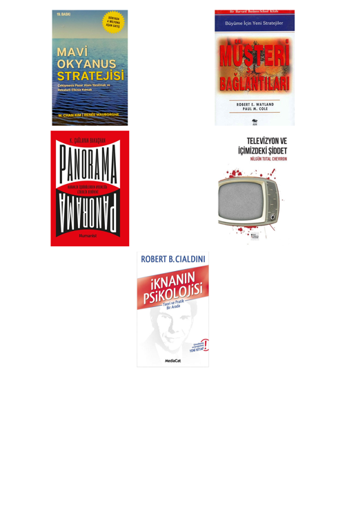 Mavi Okyanus Stratejisi... +4 Adet İş Dünyası Kitabı