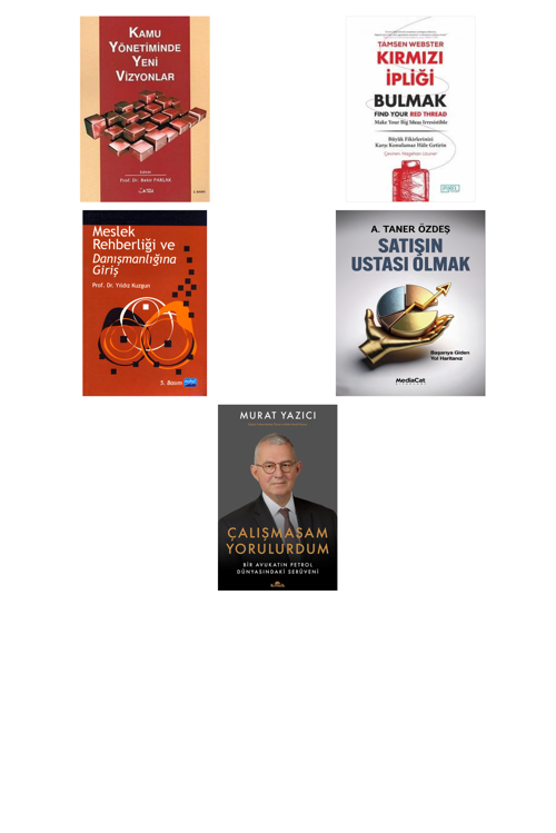 Kamu Yönetiminde Yeni Vizyonlar... +4 Adet İş Dünyası Kitabı