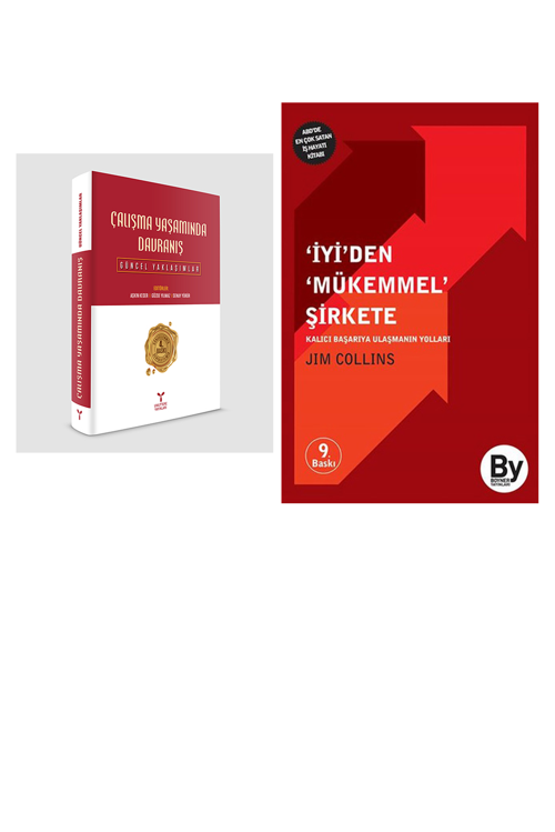 Çalışma Yaşamında Davranış... +1 Adet İş Dünyası Kitabı