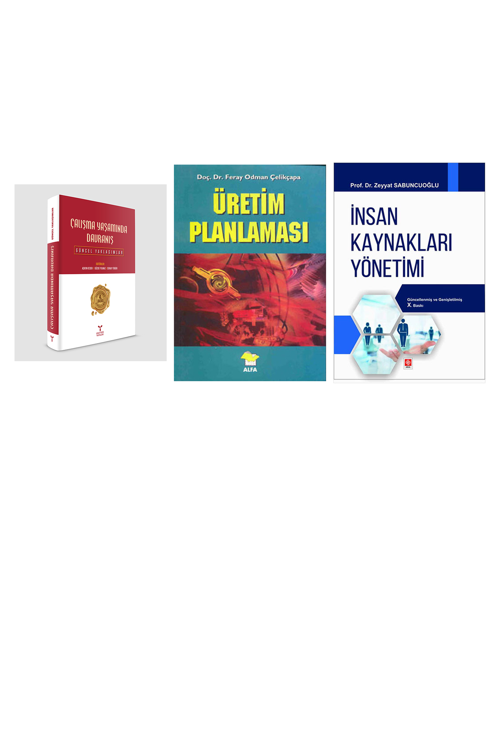 Çalışma Yaşamında Davranış... +2 Adet İş Dünyası Kitabı