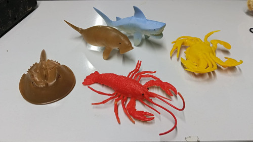 Plastik Deniz Hayvanları Fok ve Köpek Balığı Yengeç Istakoz At Nalı 5 Parça