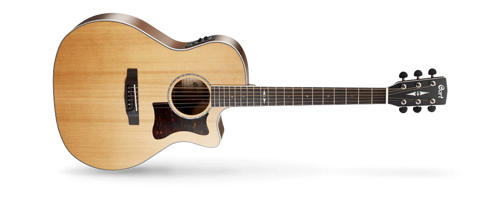 Ga5F-Bwns Elektro Akustik Gitar Naturel | Grand Audıtorıum Kasa Doğal Saten İspanyol