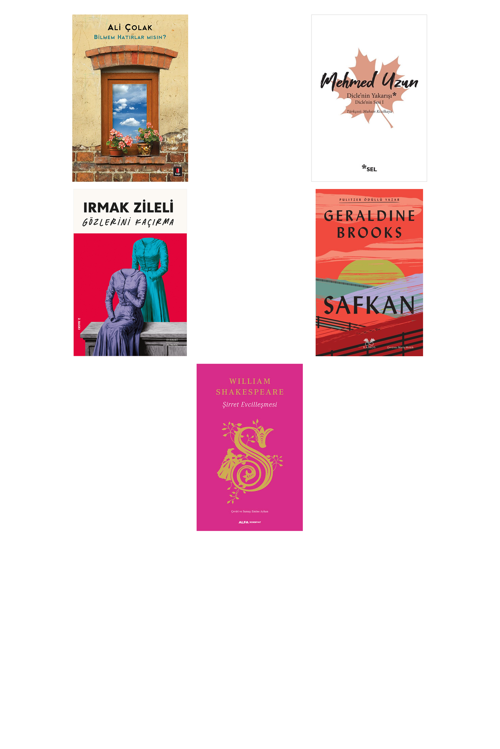 Bilmem Hatırlar Mısın?... +4 Adet Edebiyat Kitabı
