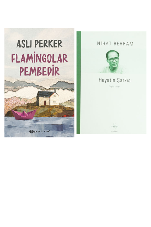 Flamingolar Pembedir... +1 Adet Edebiyat Kitabı