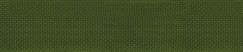 Planet Waves PWS107 Polipropilen Gitar Askısı - Yeşil (Aksesuar) | Yüksek Mukavemetli Polipropilen Malzeme, Konforlu Gen