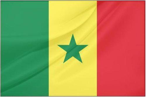 Senegal Devlet Bayrağı (50x75 cm)