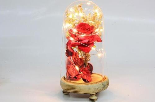 Fanus Gül 19/10cm Led Işıklı Cam Fanuslu Hediyelik