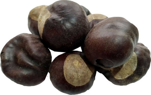 At Kestanesi Meyvesi Doğal 100 Gr Paket